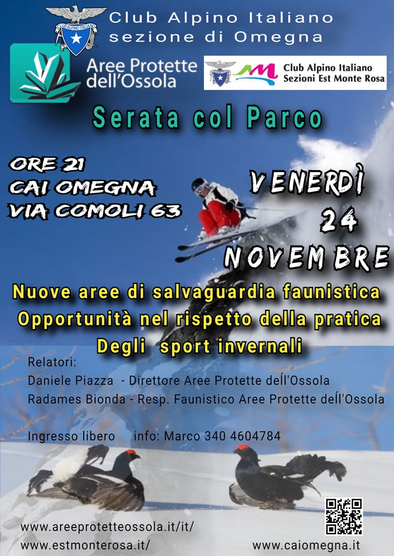poster_2023-11-15-023015
